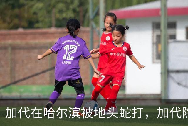 加代在哈尔滨被地头蛇打，加代隐忍不发，三天后哈尔滨高层大换血